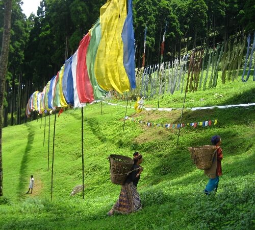 Delightful Gangtok Kalimpong Darjeeling Tour